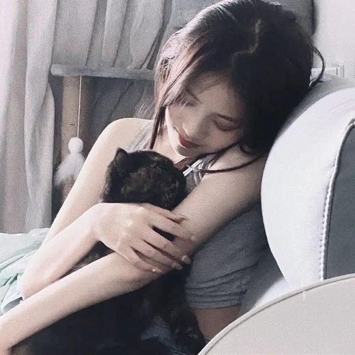 威灵顿战线封面